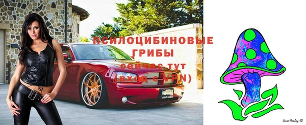 дурь Богданович