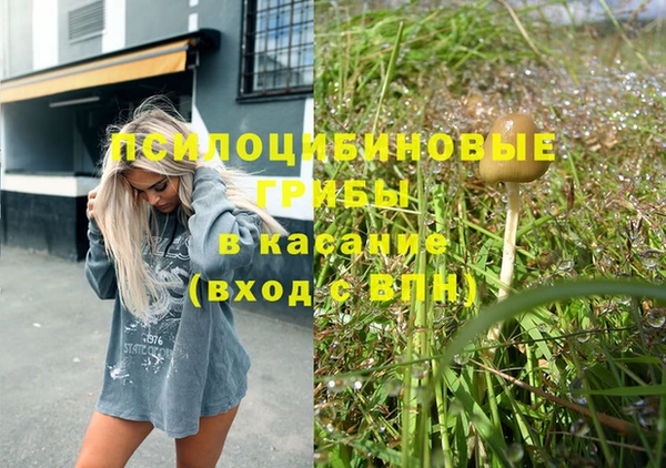 ГАЛЛЮЦИНОГЕННЫЕ ГРИБЫ Богородицк