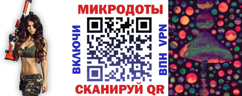 хочу   Хасавюрт  Галлюциногенные грибы Psilocybine cubensis 